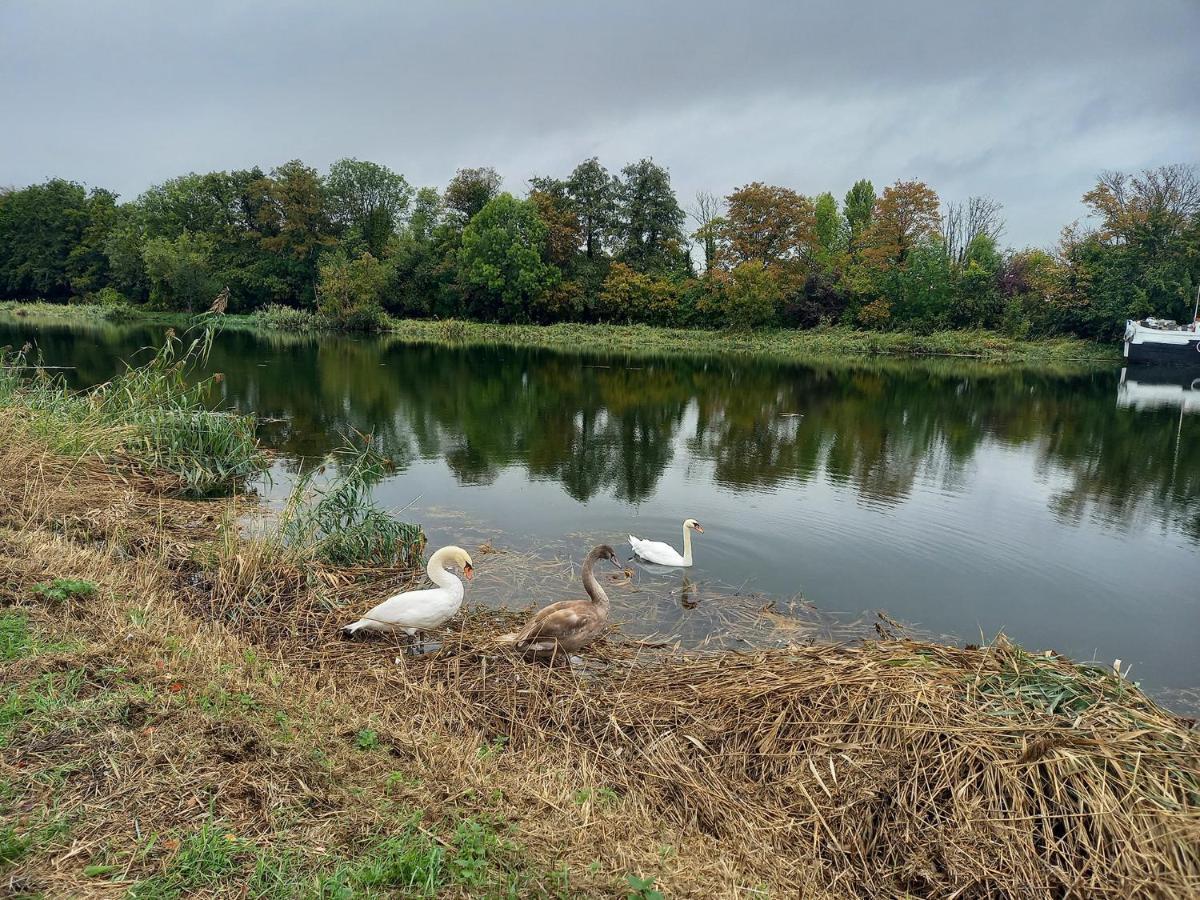 Atypique Indépendant Sur Péniche